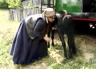 Kleine zwarte pony gezogen door boerderij zoofil