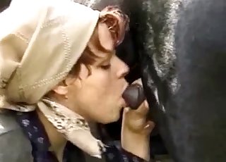 Small black pony sucked by farm zoofil