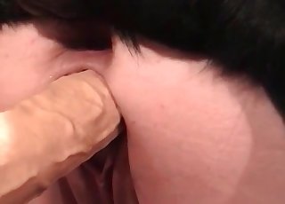 Anal sex action in bestiality style