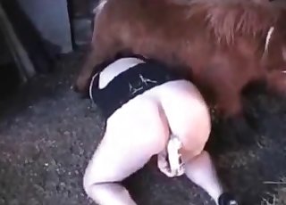 Sexy small pony and perverted zoophile slut