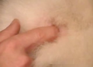 Peachy animal pussy fingered hard