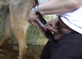 Trained shepherd fucked a big bottom