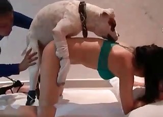 Asian girl is loosing her bestiality virginity