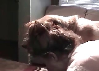Beauty sucking her amazing doggy