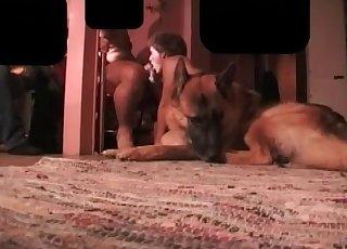 Sweet shepherd takes a part in animal sex