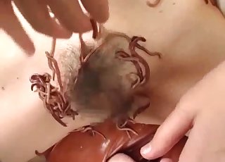Exotic Asian bestiality with rain worms