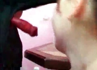Redhead Asian hoe sucking dick