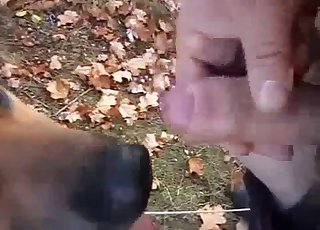 Fucking black dog ass in POV close-up