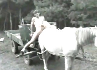 That horse gets fucked instead of carrying