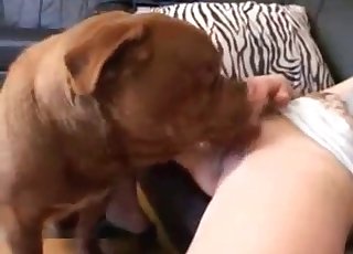 White panties blonde licked by a dog