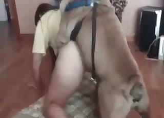 Amateur's first-time sex with a dog