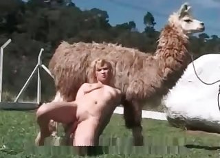 Lama is watching how this babe is getting naked