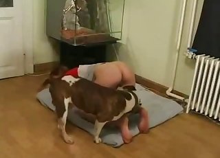 Fat booty beauty is about to fuck a dog