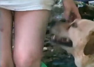 Sexy wife nicely pounded by her doggy