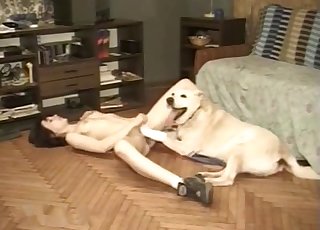 Kinky amateur licked by a horny doggo