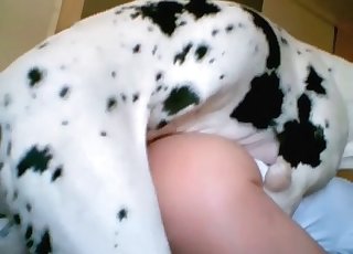 Dog fucked his nice round ass from behind