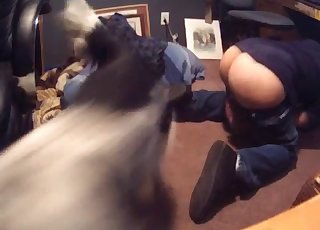 Rögtönzött, állatiasságot ábrázoló videó neked