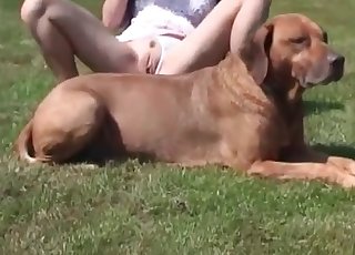 Brunette is extremely into bestiality