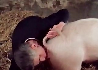 Pig is gonna steal the show here