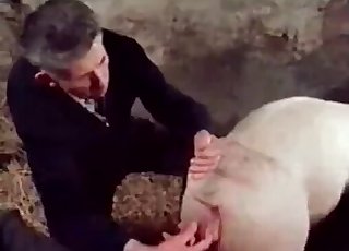 Pig is gonna steal the show here