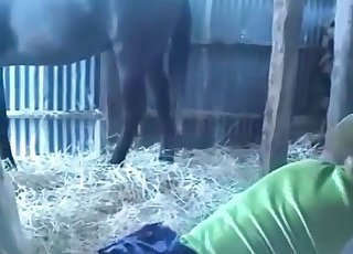 Screwing with amazing trained animal