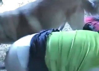 Screwing with amazing trained animal