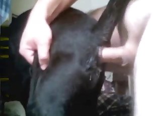 Doggy sucking his dick with passion
