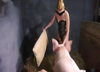 Masked blonde is playing with a huge pig