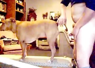 Gorgeous doggy fucked in doggy style pose