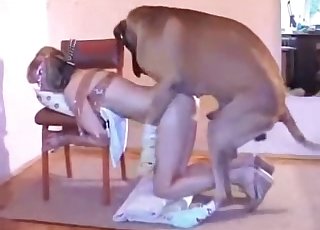 Bondage and bestiality sex with a dog