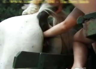 Dude fisting that tight horse cunt