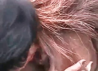 Dirty zoophile licking her stallion ass