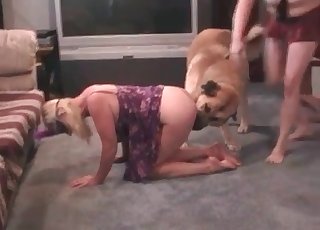 Vagina sucked by a lustful doggy
