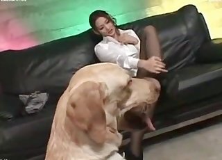 Chica asiática en perfecta bestialidad XXX