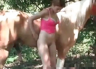 Outdoors blowjob from a lustful horse
