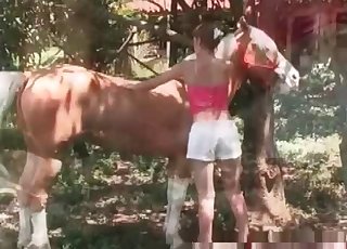 Outdoors blowjob from a lustful horse