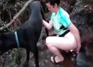 Chubby zoophile blowing a big-dicked dog