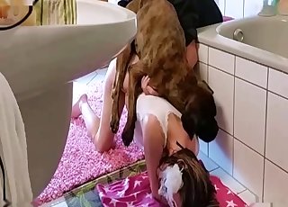 Masked chick raped by a dog in the bathroom