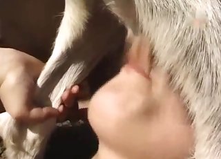 Kinky doggo in a fantastic zoo sex video