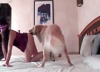 Dirty doggo mounts this submissive bitch