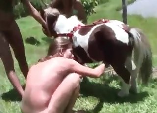 Juicy horse cock tastes amazing