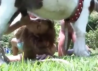 Juicy horse cock tastes amazing