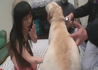 Minx tatlı bir yavru köpeğin penisini emiyor