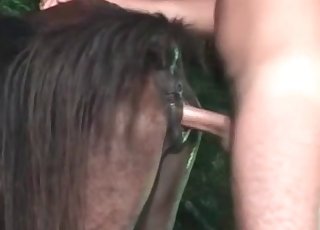 Zoophile dude fucking his horny animal