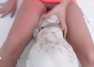 Perverted pet fucking a juicy pussy