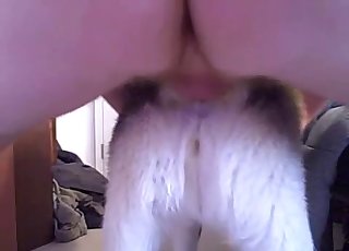Pulsating dog hole gets fucked by a dude