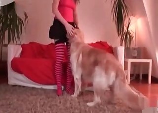 Striped stockings brunette fucks her dog