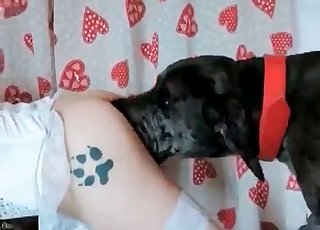 Impresionante sesión de libra casera con animal