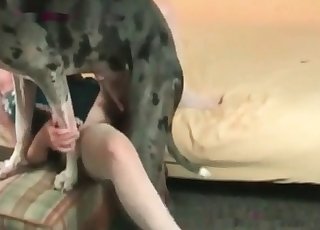 White stockings slut fucks her dog