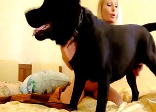 Zoo-addicted damsel is sucking a pet dong